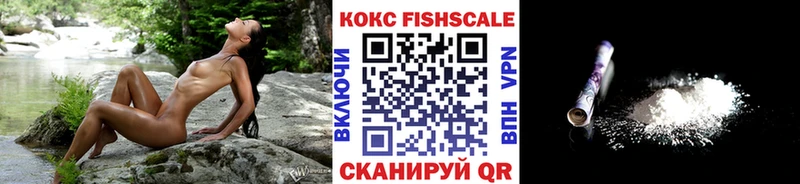 Купить закладки  Бирюсинск  COCAIN 98% 