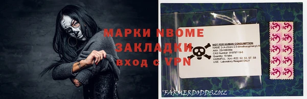 прущие грибы Козельск
