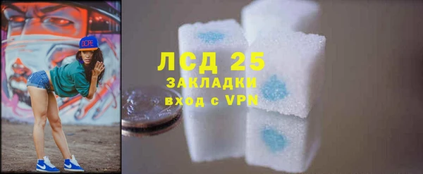прущие грибы Козельск