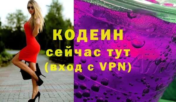 прущие грибы Козельск