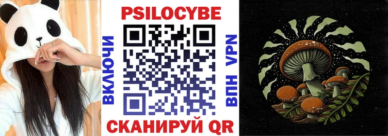 Купить где  Бирюсинск  Псилоцибиновые грибы Psilocybe 